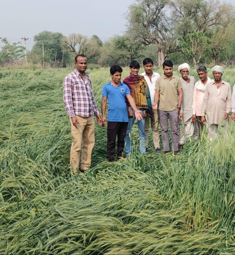 किसानों को मुआवजा दिलवाने की मांग