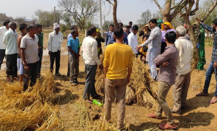 पूर्व नेता प्रतिपक्ष ने फसलो का लिया जायजा