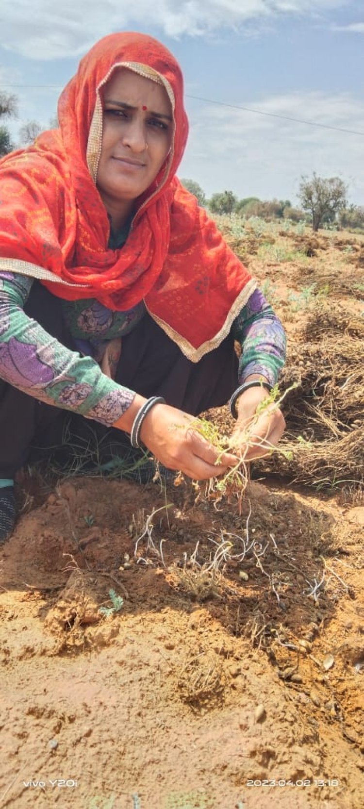 विशेष गिरदावरी कराकर मुआवजे की मांग