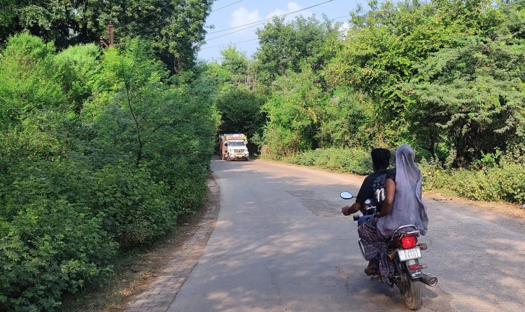 रोड के पास उगी झाड़ियों से दुर्घटना की आशंका