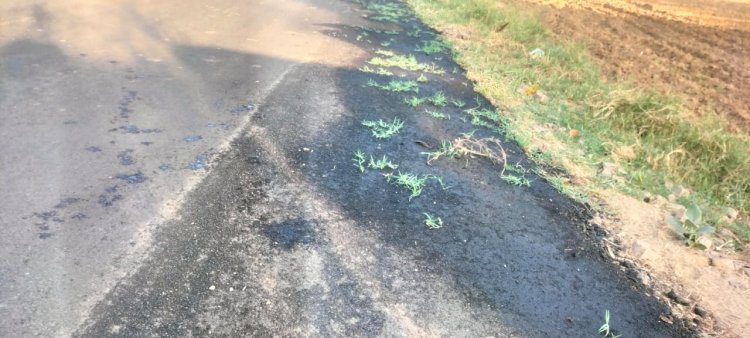 15 दिन पहले बनाई थी रोड, अब बन रहा है गार्डन 