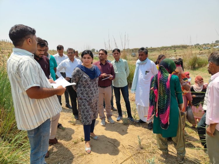बामनवास: जिला कलक्टर ने मनरेगा कार्यों का किया निरीक्षण, पारदर्शिता व गुणवत्ता बनाए रखने के दिए निर्देश