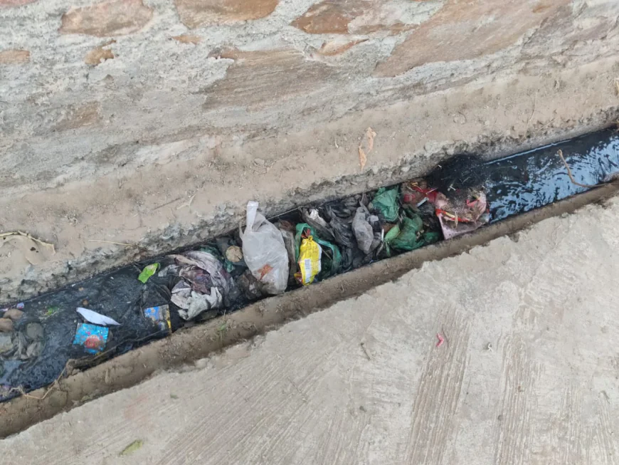 नगरपालिका की दिख रही लापरवाही नवलगढ़ में वार्ड की सफाई को लेकर दिखी खानापूर्ति
