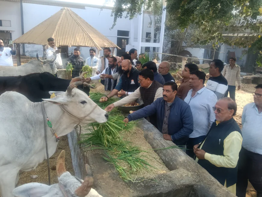 गौ सेवा एक महान एवं पुण्य कार्य है जो हमारी भारतीय संस्कृति परंपरा और आस्था का अभिन्न अंग है